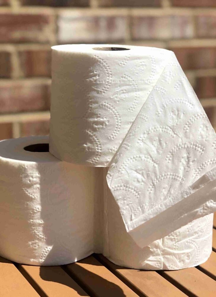 Toilet Paper Feng Shui