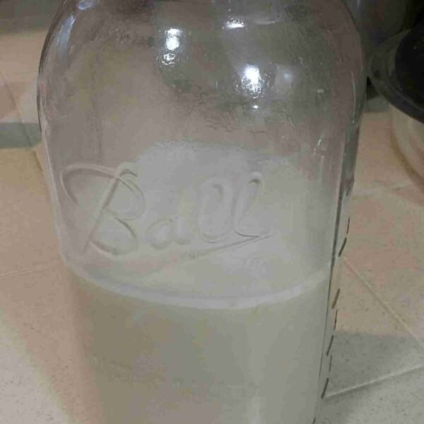 Raw, Organic Almond Milk