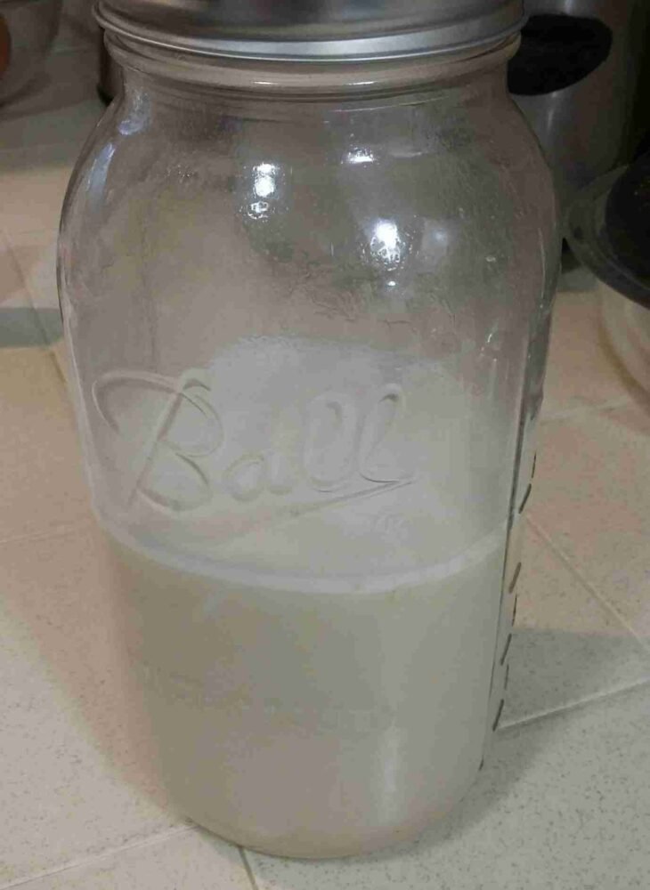 Raw, Organic Almond Milk