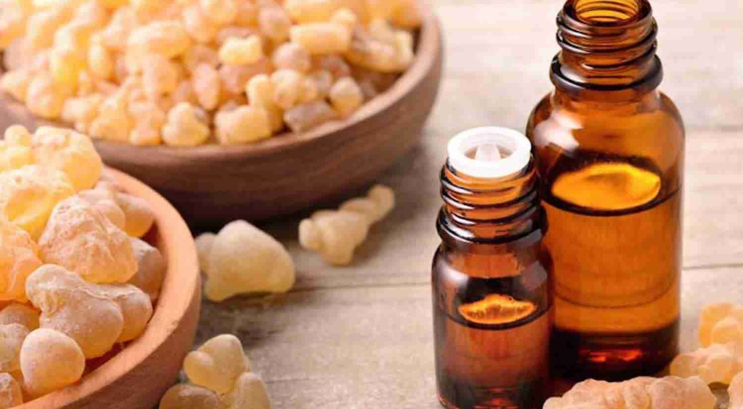 What Is The Best Quality Frankincense Essential Oil