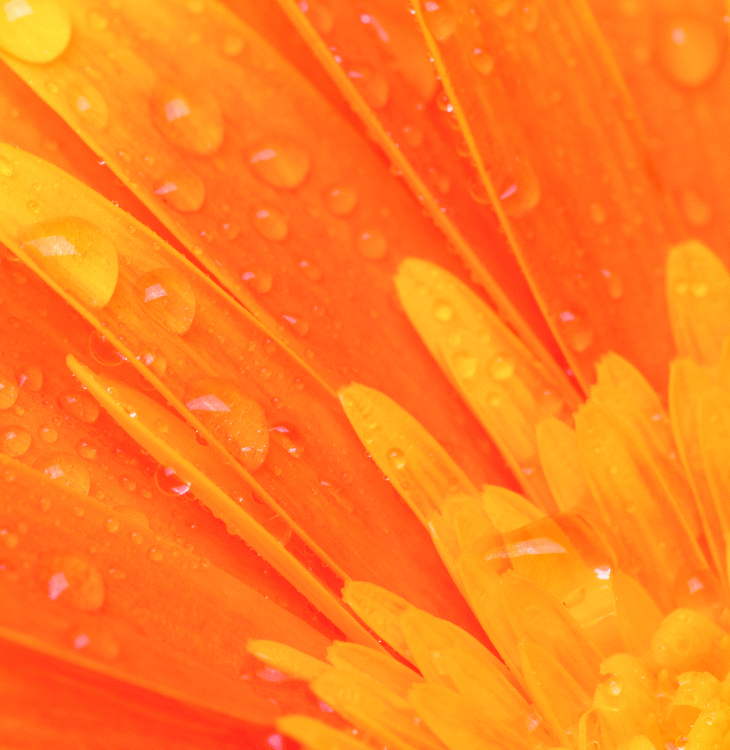 How to Heal Your Sacral Chakra to Allow Joy