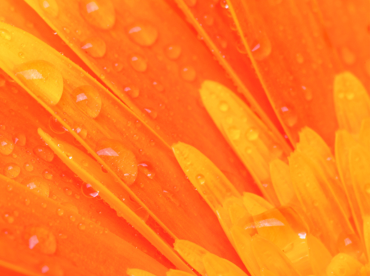 sacral chakra health