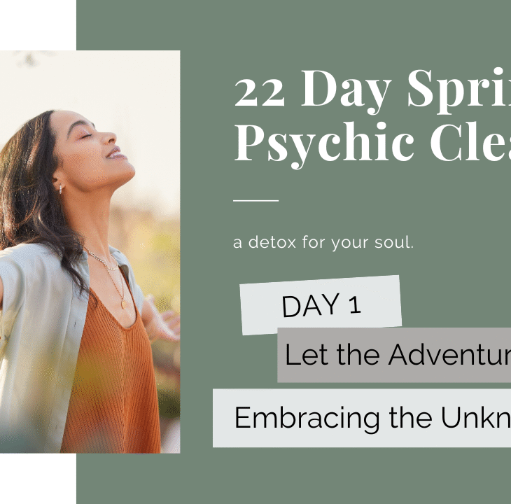 22 Day Psychic Cleanse Day 1: Let the Adventure Begin!