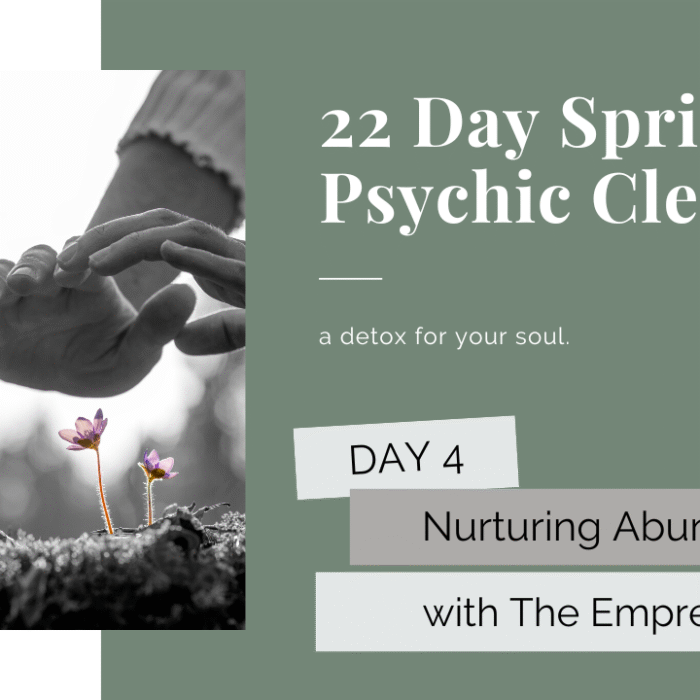 psychic cleanse day 4