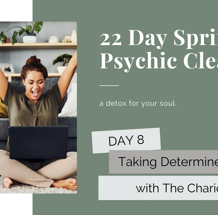 Day 8: Harnessing the Power of Determined Action
