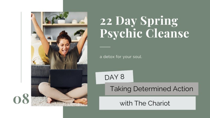 psychic cleanse day 8