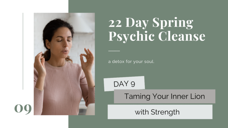 psychic cleanse day 9