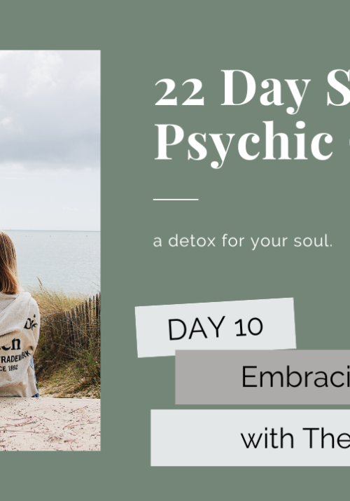 Psychic Cleanse Day 10 with The Hermit Tarot