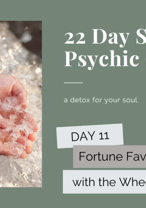 Psychic Cleanse Flexibility