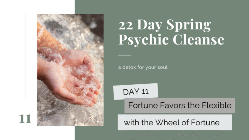 Psychic Cleanse Flexibility