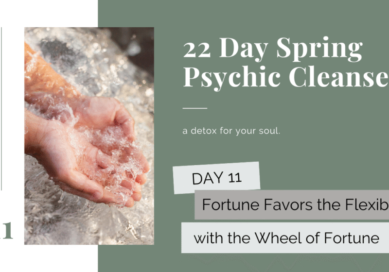 Psychic Cleanse Flexibility