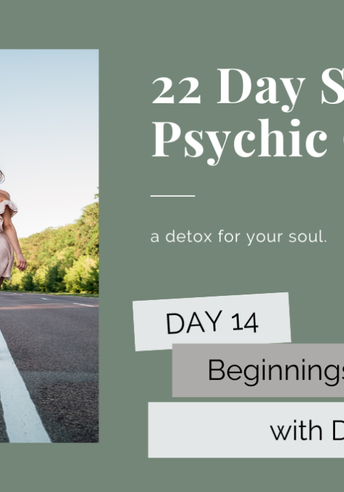 day 14 psychic cleanse