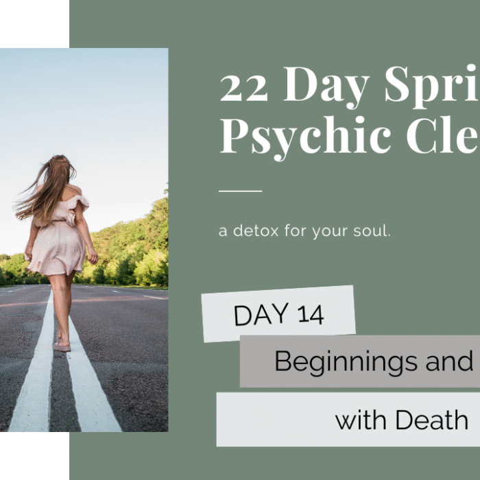 day 14 psychic cleanse