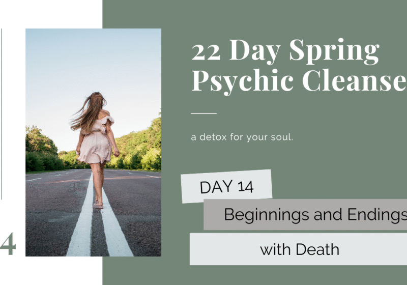 day 14 psychic cleanse