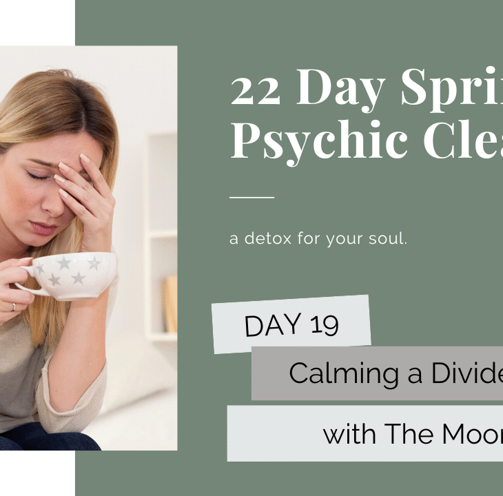 Day 19: Calming a Divided Mind