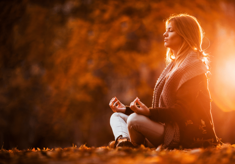 imagination plus meditation is imagitation