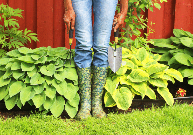 spring essentials for empaths