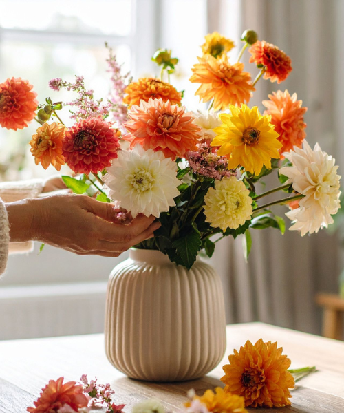 woman arranging chrysanthemums in vase